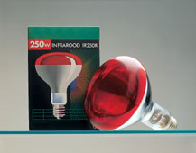 Gloeilamp Ir 250