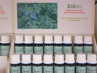 Alfabio - Essentiele olie Gember 10 ml