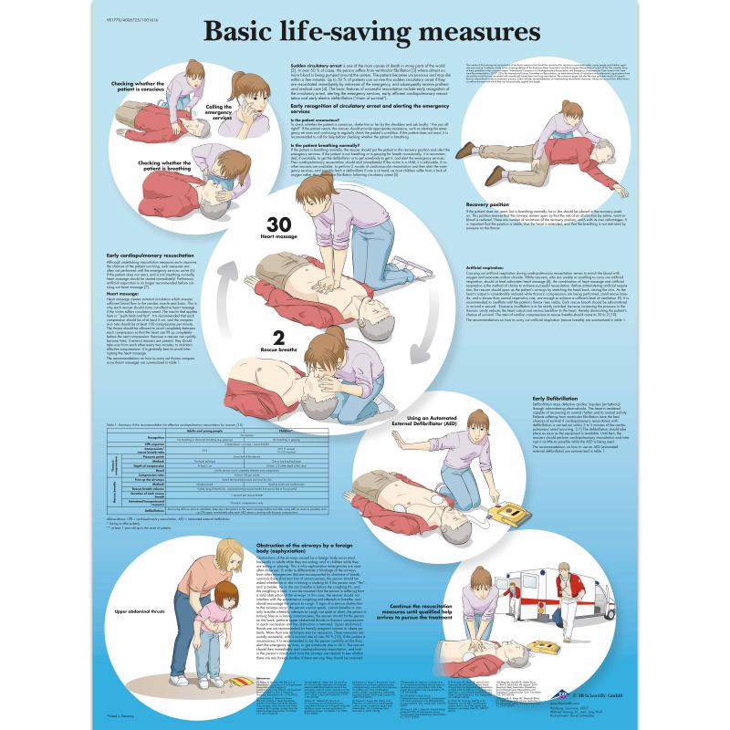 All Products - Wandkaart: Basic life support